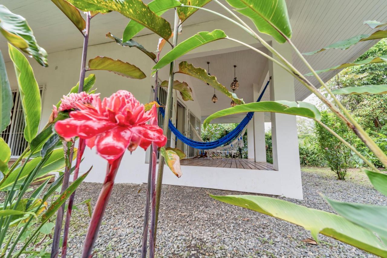 Villa Pineapple House Manzanillo Exterior foto