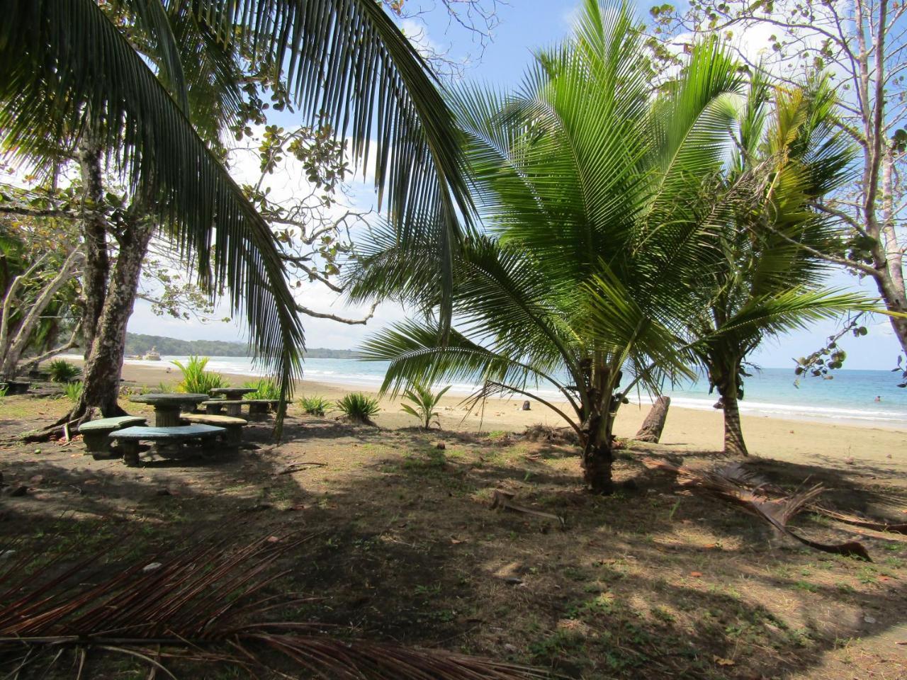 Villa Pineapple House Manzanillo Exterior foto
