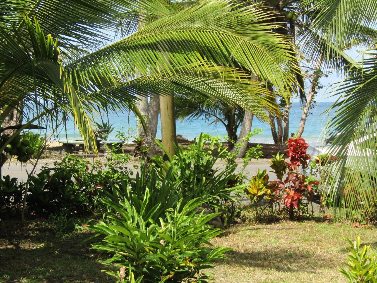 Villa Pineapple House Manzanillo Exterior foto