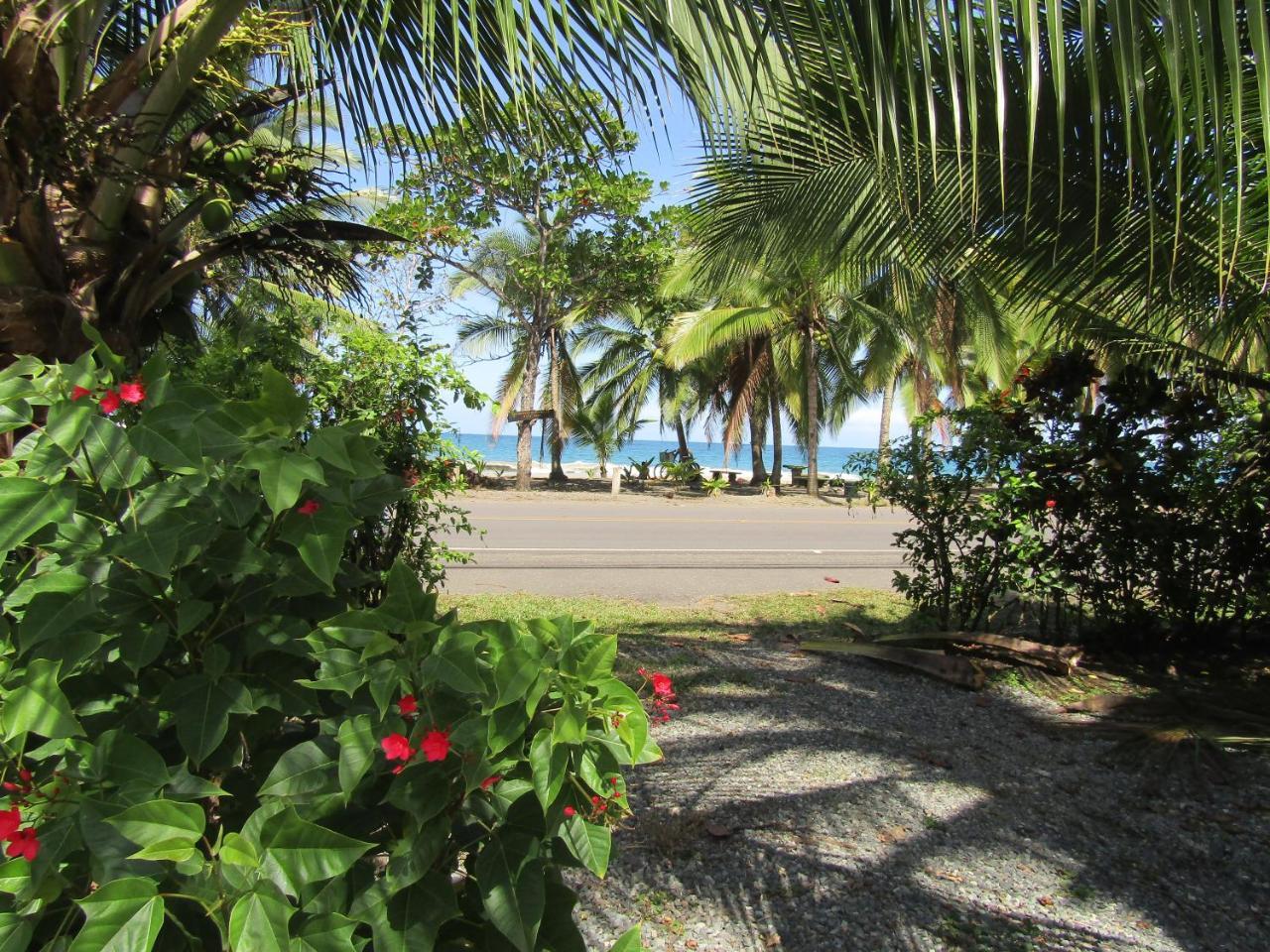 Villa Pineapple House Manzanillo Exterior foto